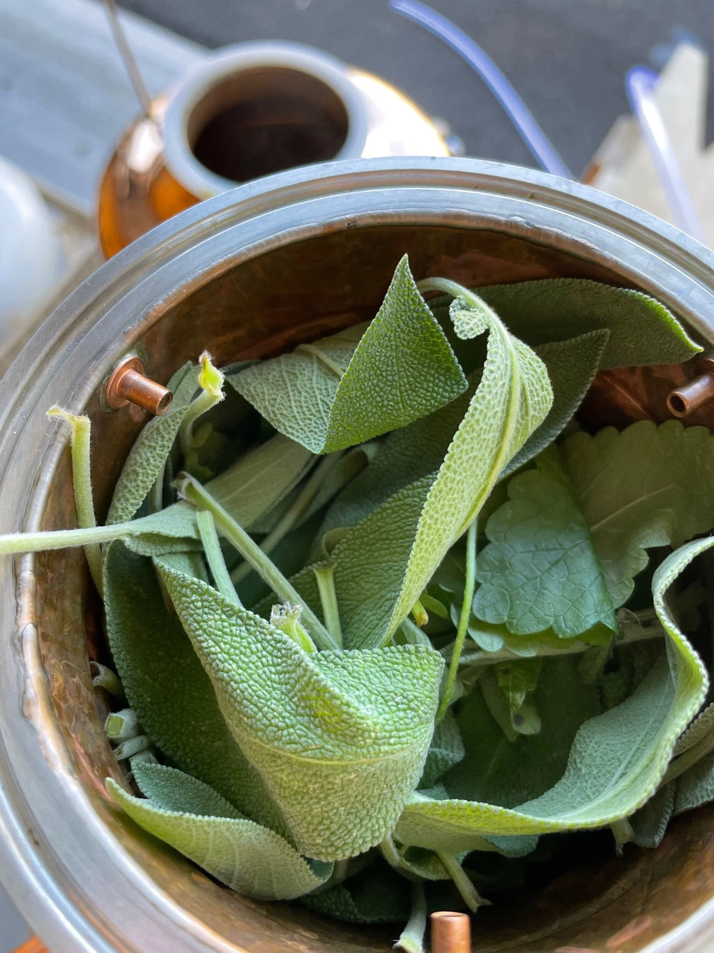 SAGE & ROSE | hydrosol blend