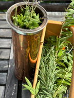 LEMON VERBENA & ROSMARY | hydrosol blend