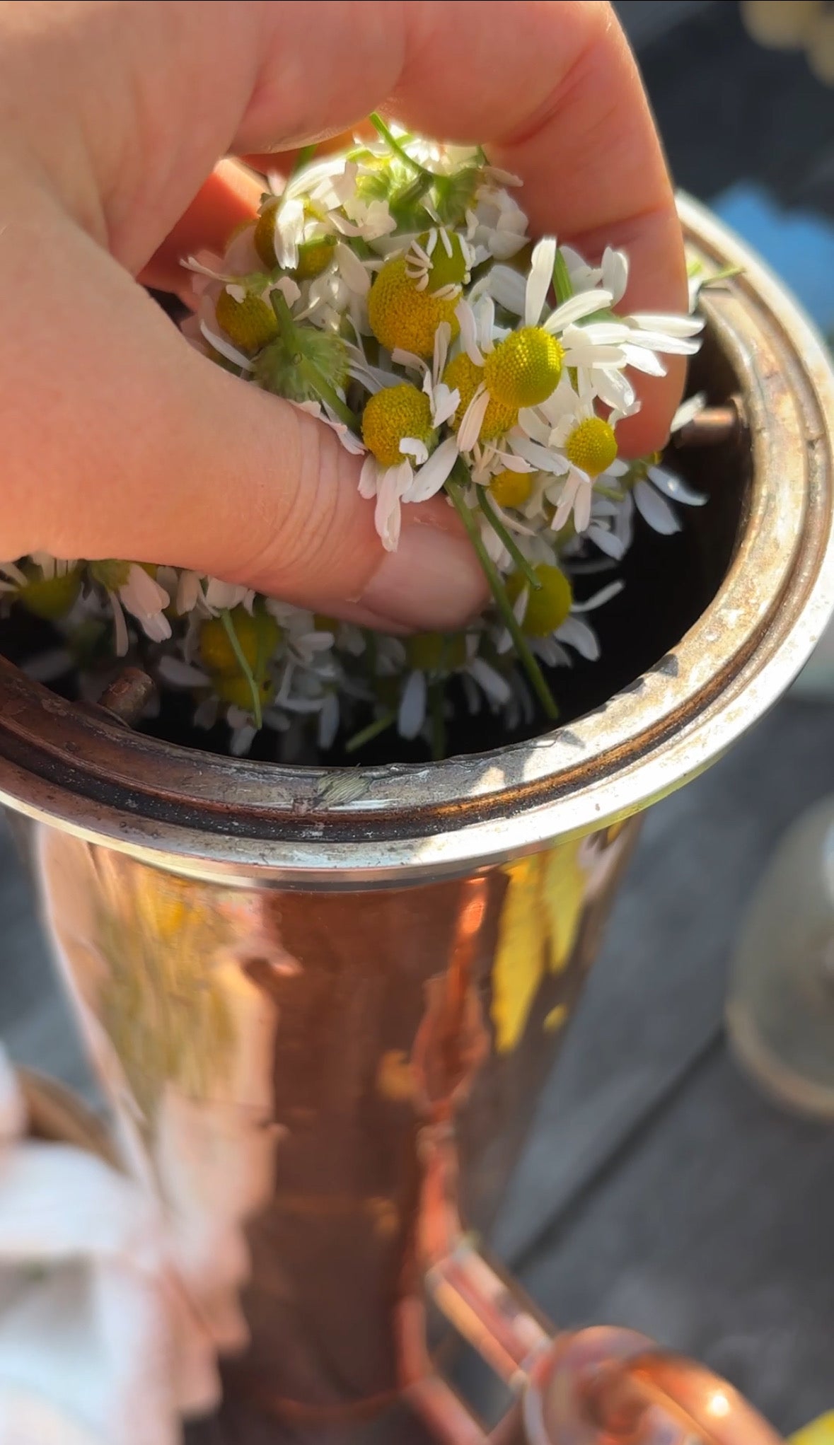 COOLING CHAMOMILE | hydrosol mist