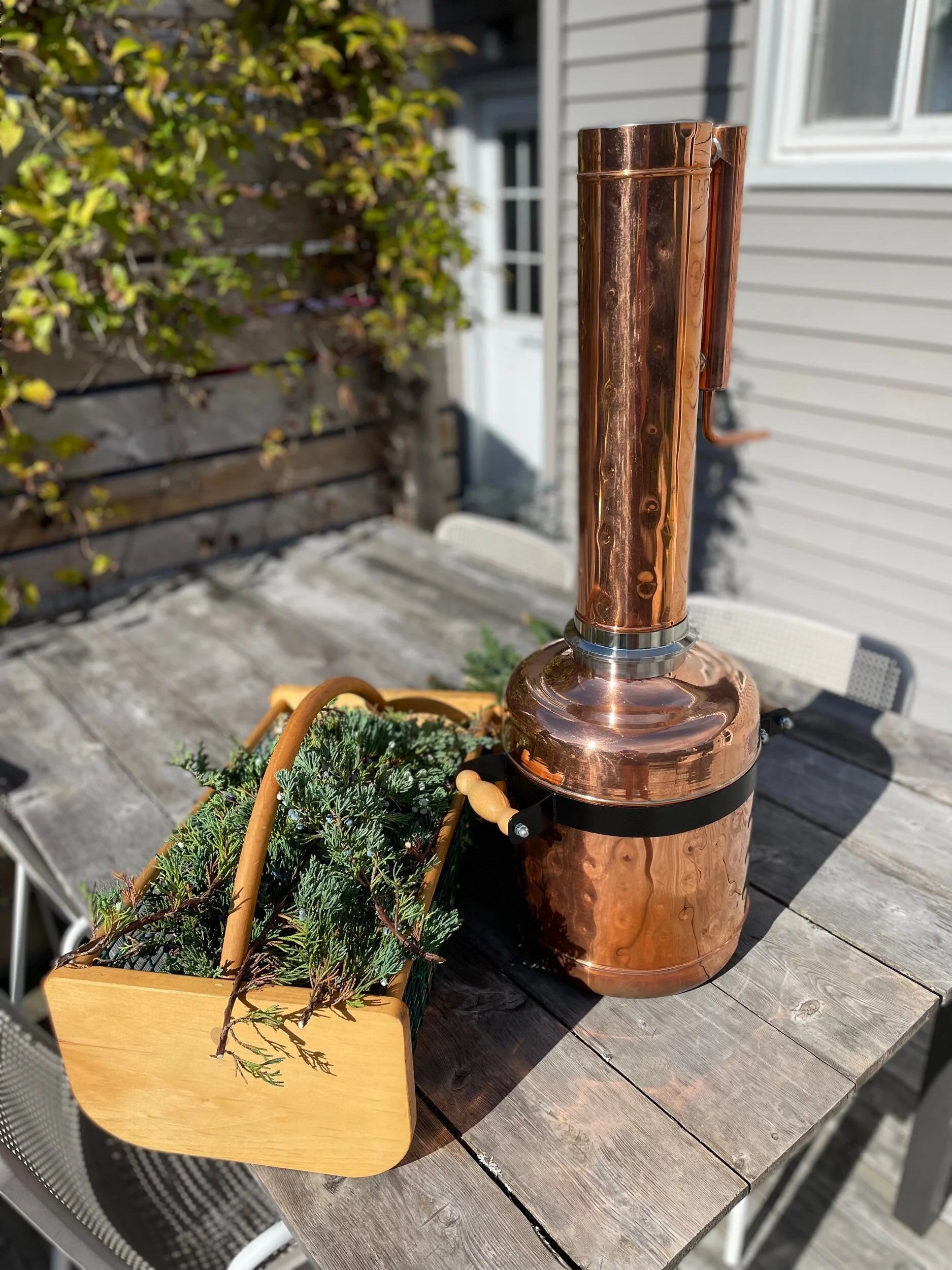 JUNIPER & SPRUCE | hydrosol blend