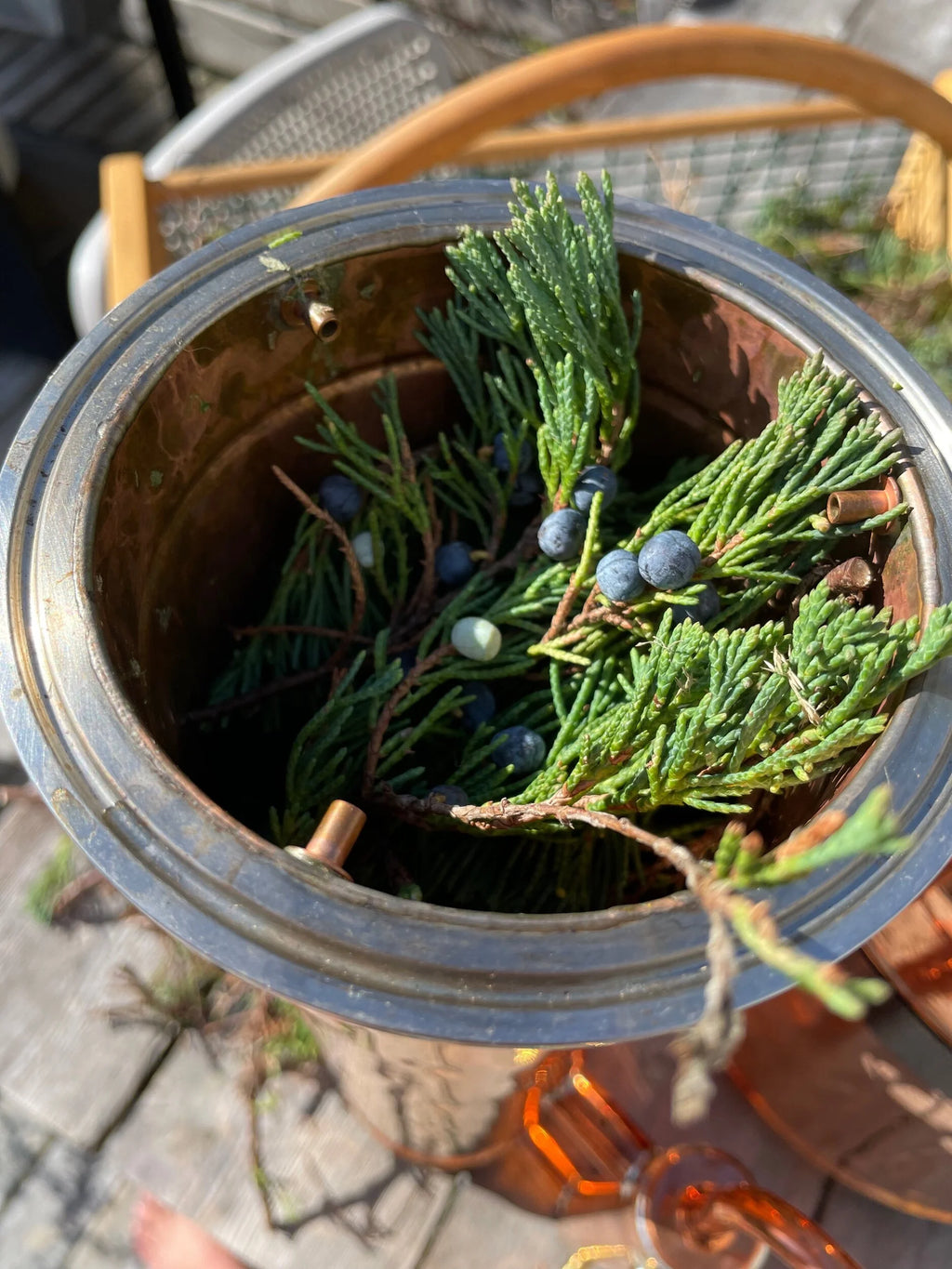 JUNIPER & SPRUCE | hydrosol blend